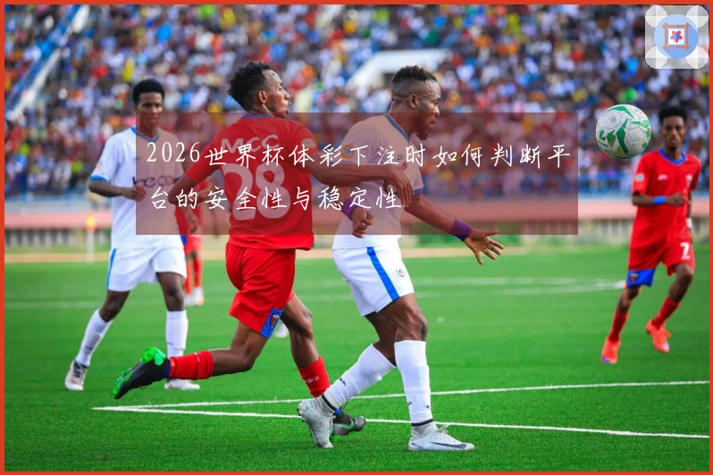 2026世界杯体彩下注时如何判断平台的安全性与稳定性
