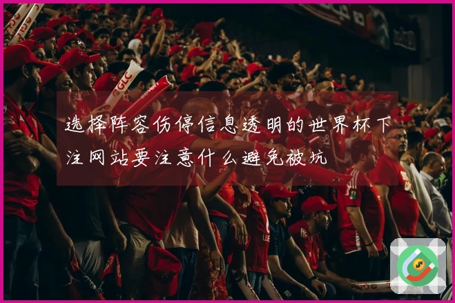 选择阵容伤停信息透明的世界杯下注网站要注意什么避免被坑