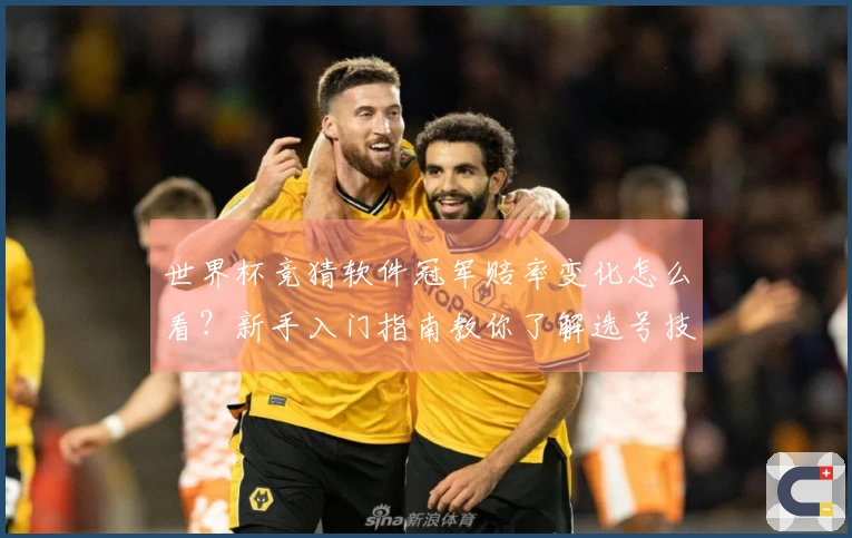 世界杯竞猜软件冠军赔率变化怎么看？新手入门指南教你了解选号技巧