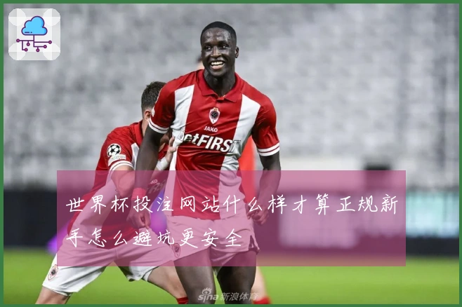 世界杯投注网站什么样才算正规新手怎么避坑更安全