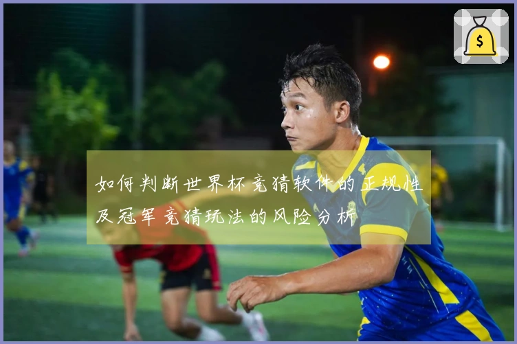 如何判断世界杯竞猜软件的正规性及冠军竞猜玩法的风险分析