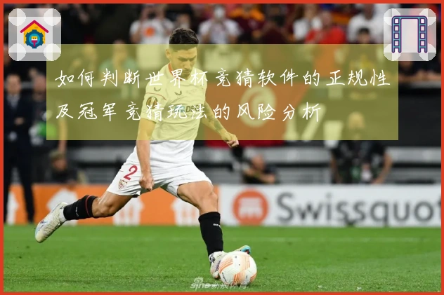 如何判断世界杯竞猜软件的正规性及冠军竞猜玩法的风险分析