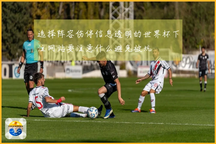 选择阵容伤停信息透明的世界杯下注网站要注意什么避免被坑