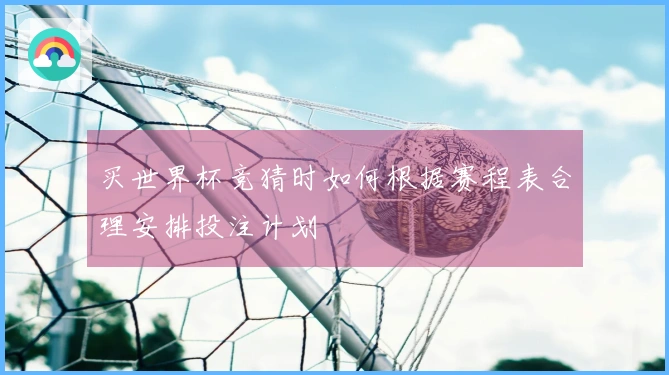 买世界杯竞猜时如何根据赛程表合理安排投注计划