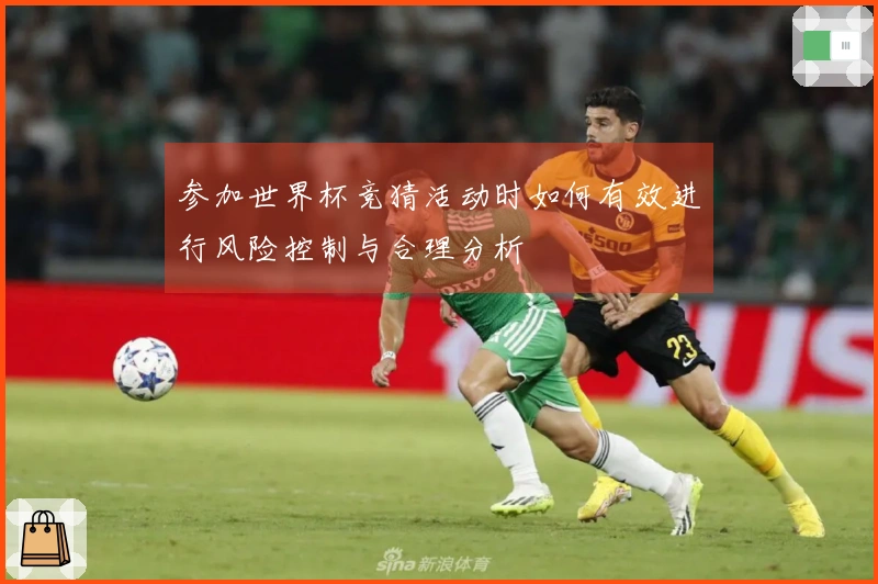 参加世界杯竞猜活动时如何有效进行风险控制与合理分析
