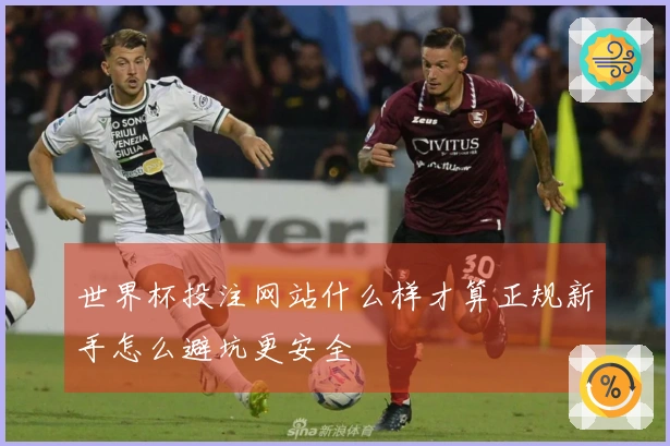 世界杯投注网站什么样才算正规新手怎么避坑更安全
